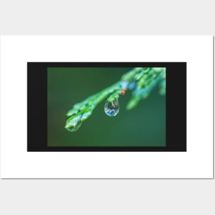 waterdrop Posters and Art